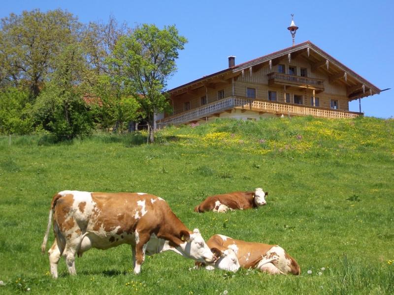 Huberbauernhof Ferienwohnungen Piding Exteriör bild