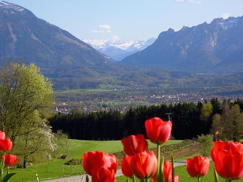 Huberbauernhof Ferienwohnungen Piding Exteriör bild